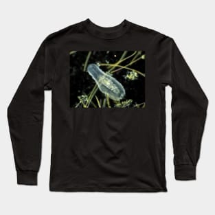 Gastrotrich under the microscope Long Sleeve T-Shirt